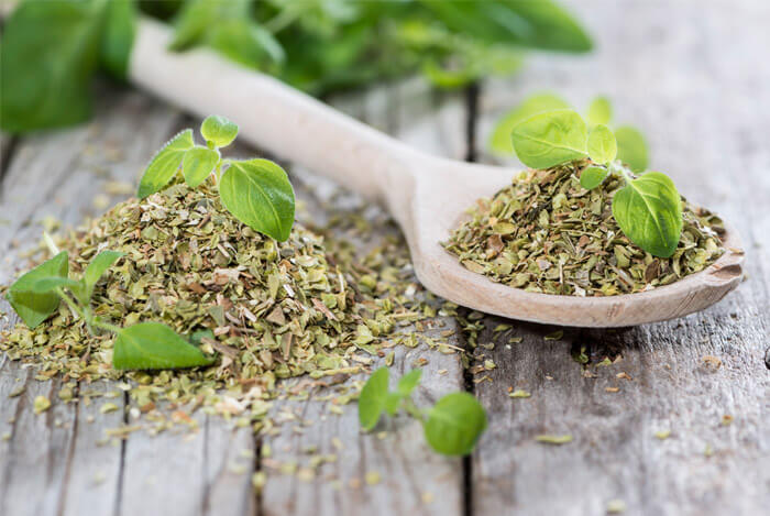 oregano dried leaves herb