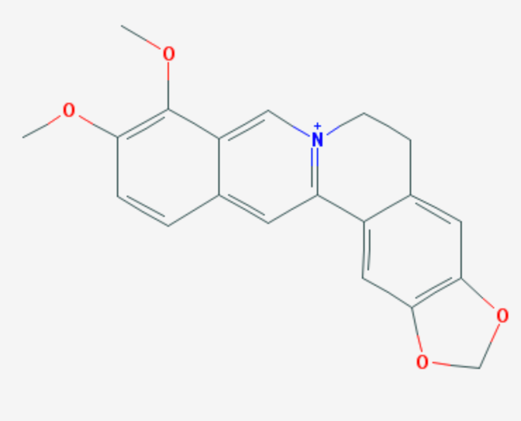 berberine structure