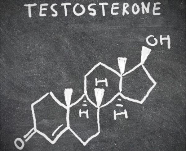 What Is Testosterone