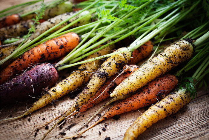 rainbow carrots