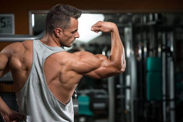 The Five Best Biceps Exercises for Ripped Arms - SportsRec