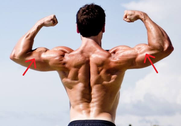 The Five Best Biceps Exercises for Ripped Arms - SportsRec