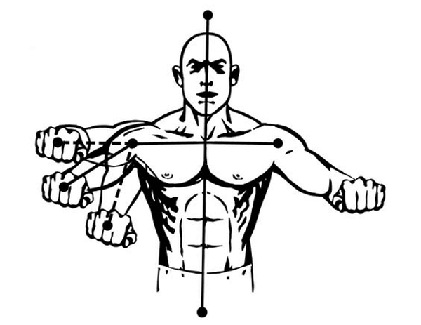 Chest Exercise Chart For Men