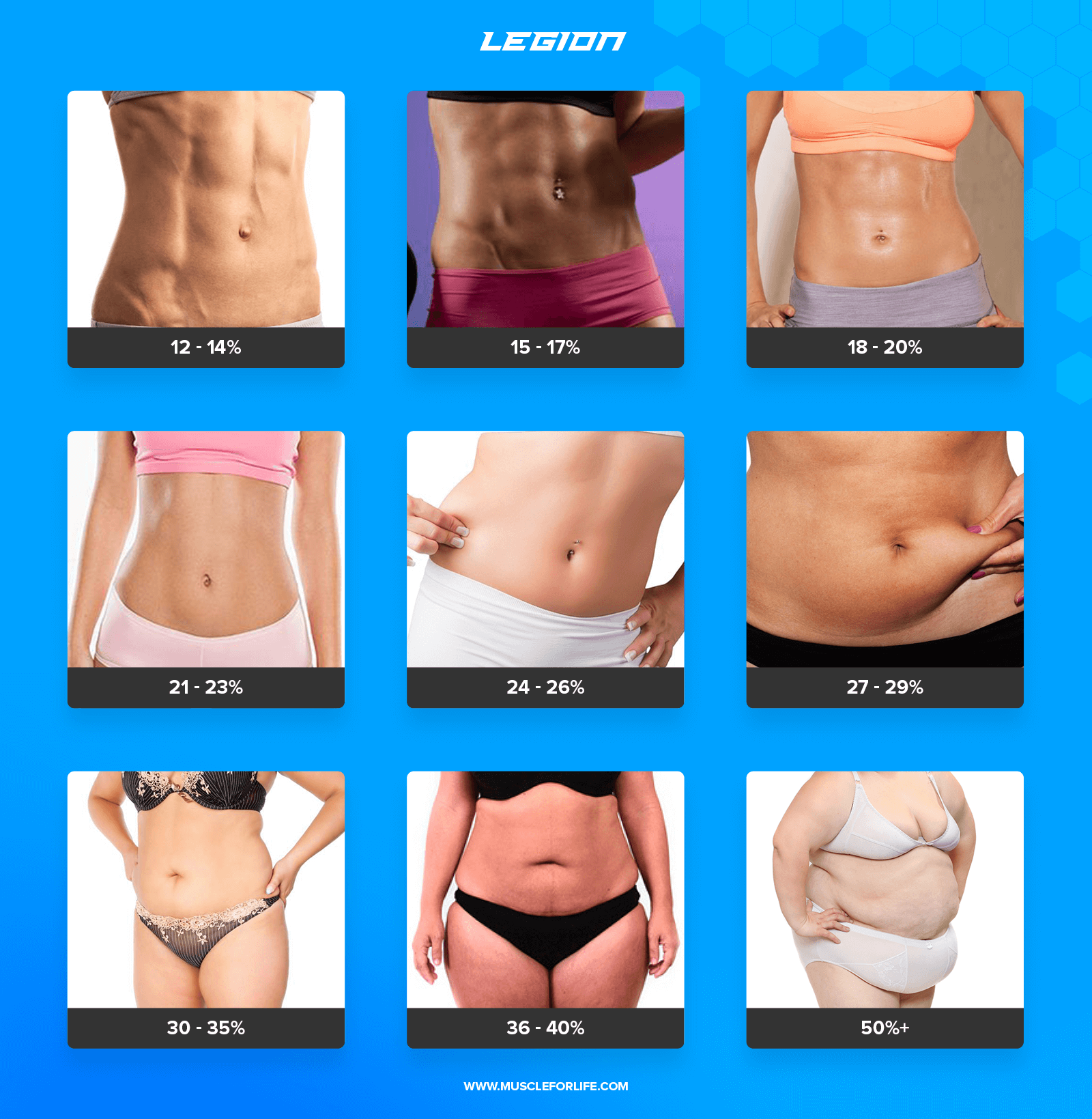 Body Fat Percentage Chart Pictures