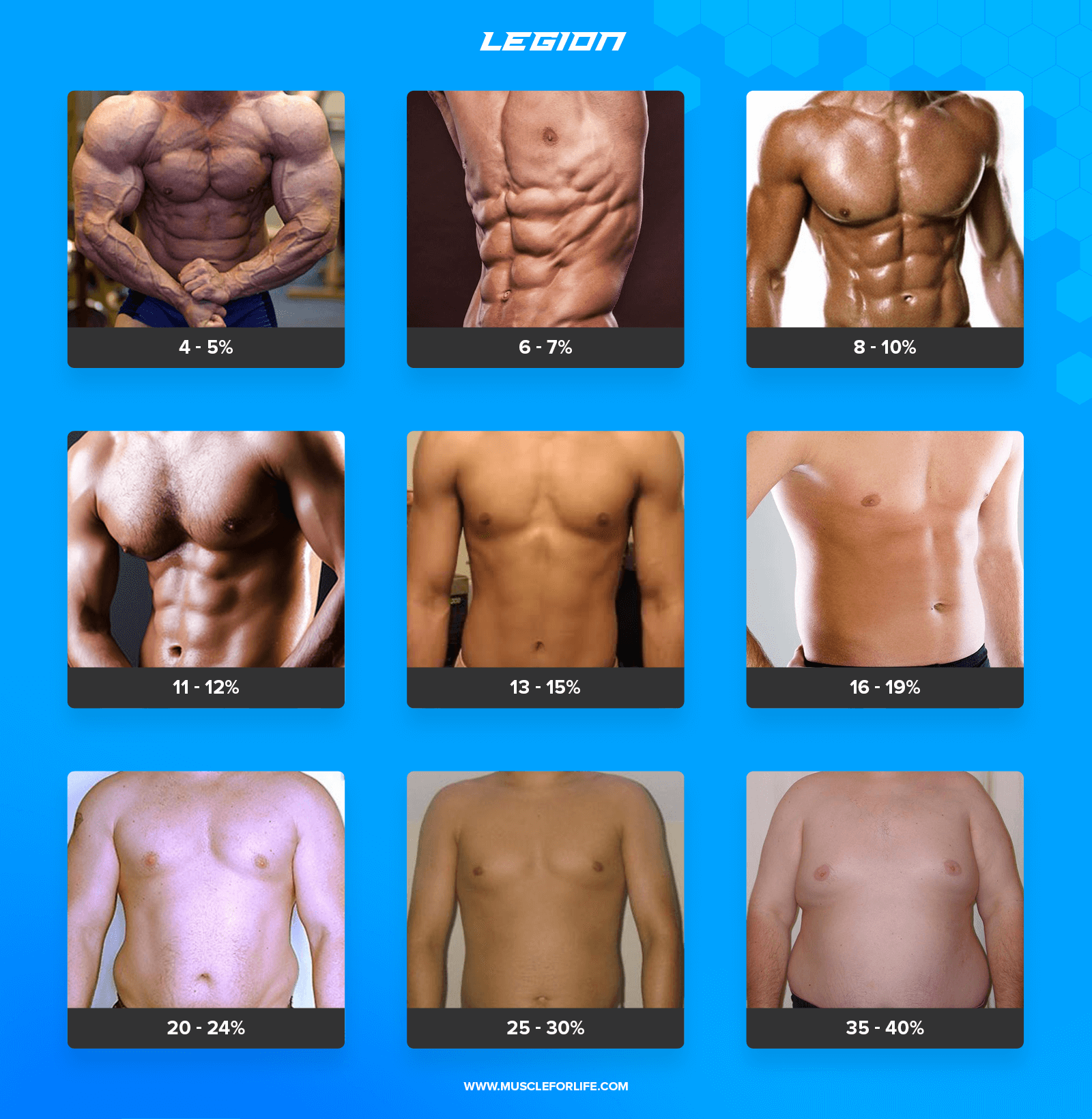 Accu Measure Body Fat Chart