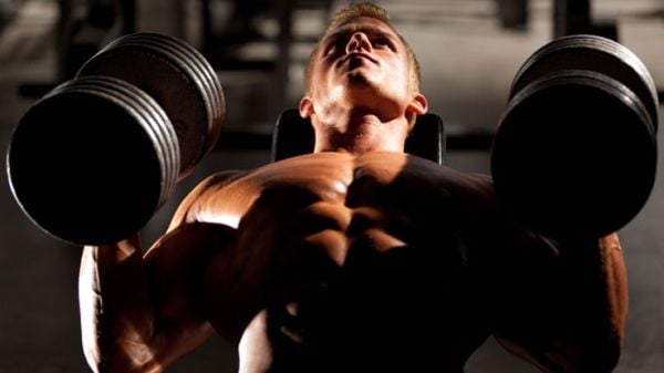 upper chest dumbbell bench press