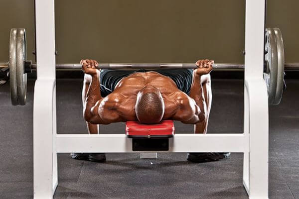 upper chest reverse grip bench press