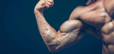 Which “Muscle Building Supplements” Work and Which Don’t?