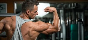 muscle-building-supplements featured
