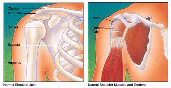 Right shoulder. Акромион болит после падения.