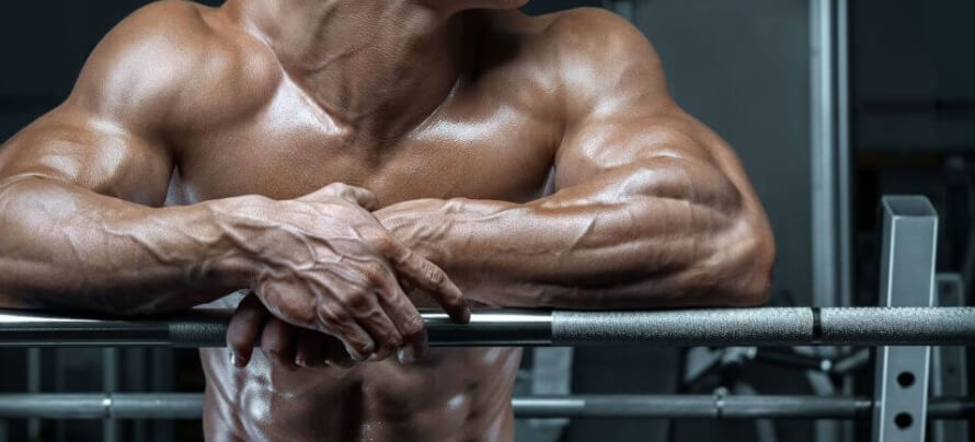 Hypertrophy Training Best Workout Program For Hypertrophy Legion