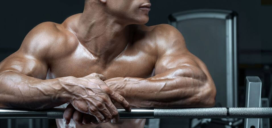 muscle building solution