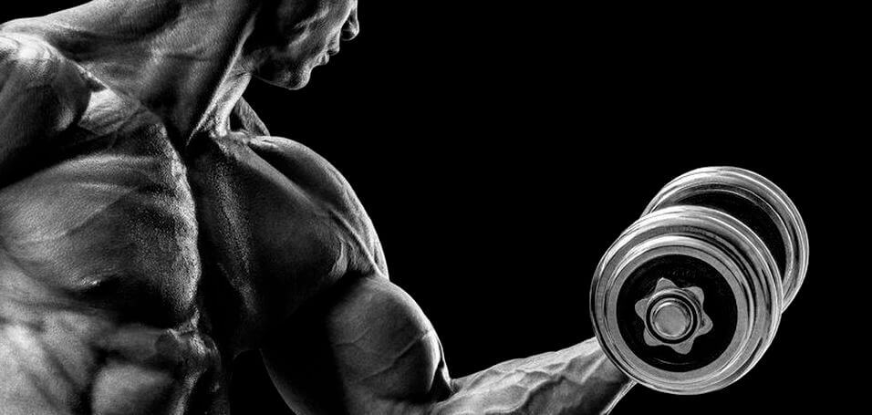 blood flow restriction training for arms