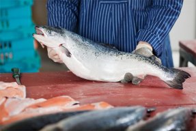 Wild Caught or Farmed Fish?: Does it Really Make a Difference to Your Health?