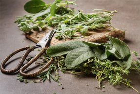 3 Delicious Herbs to Add to Your Favorite Meals