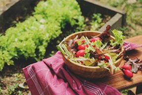 How to Transition Into a Plant-Based Diet Slowly and Effectively