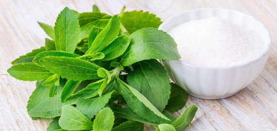 The Lowdown on Stevia: What You Need to Know