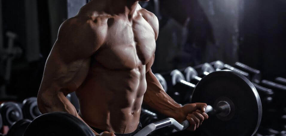 how to get big muscles in 2 weeks