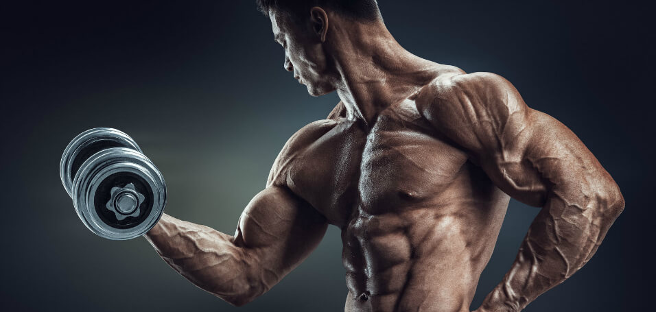 7 Practical Tactics to Turn should i take steroids Into a Sales Machine