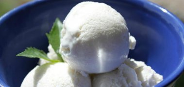 The 10 Best Homemade Vanilla Ice Cream Recipes You Can Make