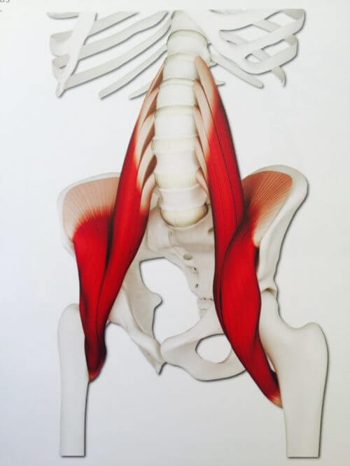 Technique - Hip Flexors - We Move Saskatchewan