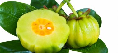 Will Garcinia Cambogia Help You Lose Weight? What 20 Studies Say