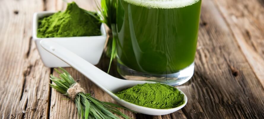 herbs in supplements