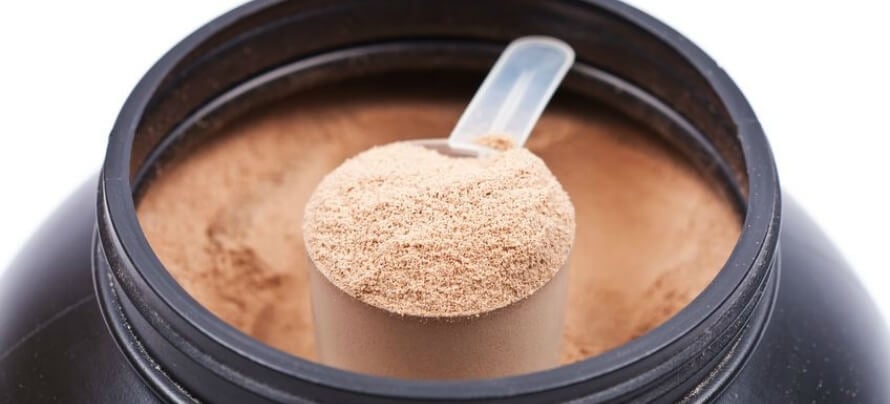 best protein powder for weight loss