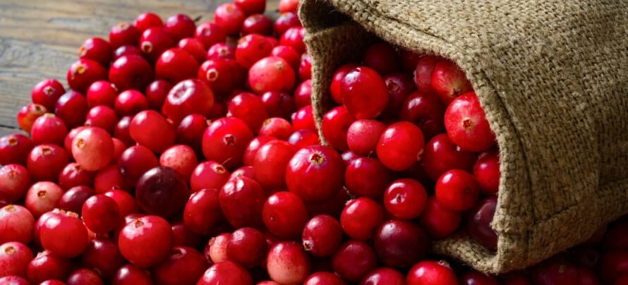 cranberries food supplement