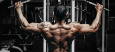 GymMonster Back Sculptor 8 Focused Routines for an Athletic Build #gy