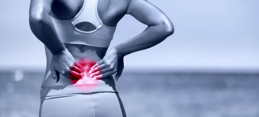 how do joint pain supplements work