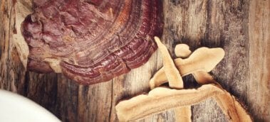 Everything You Need to Know About Reishi Mushroom Supplements