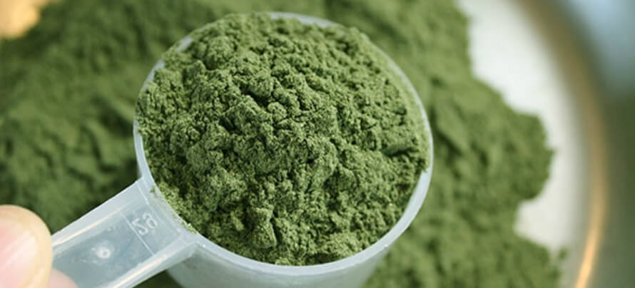 best greens supplment powder