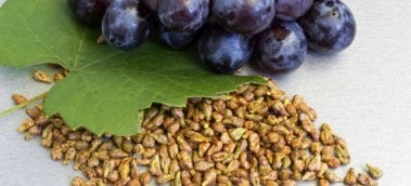 Everything You Need to Know about Grape Seed Extract Supplements