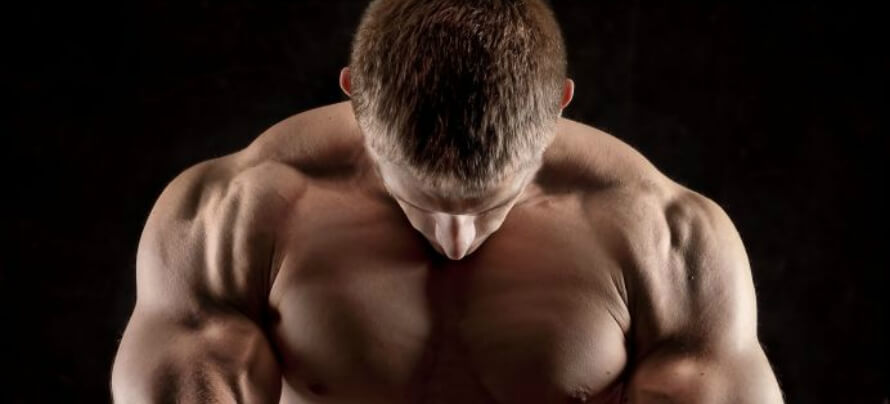 10 Best Trap Exercises for Building Better Trap Muscles