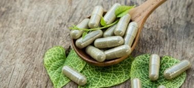 The Definitive Guide to Astragalus Supplementation