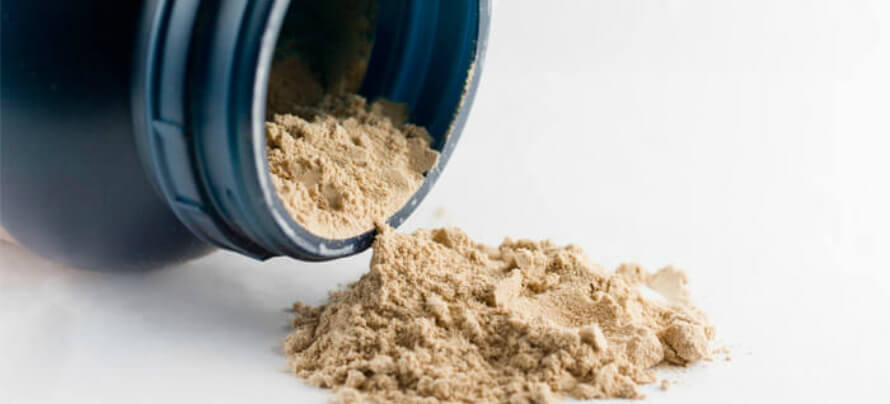 best whey protein powder