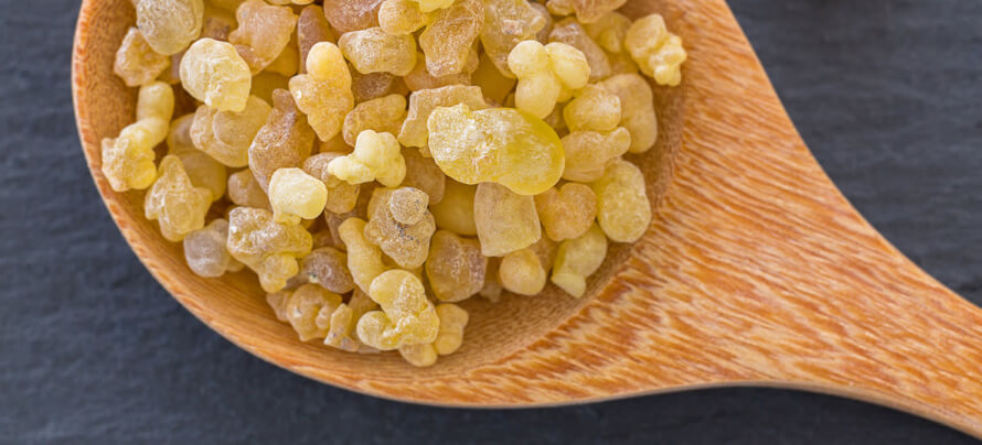 The Definitive Guide to Boswellia Serrata Supplements