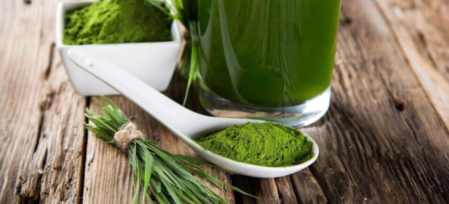 The Definitive Guide to Green Tea Extract Supplementation