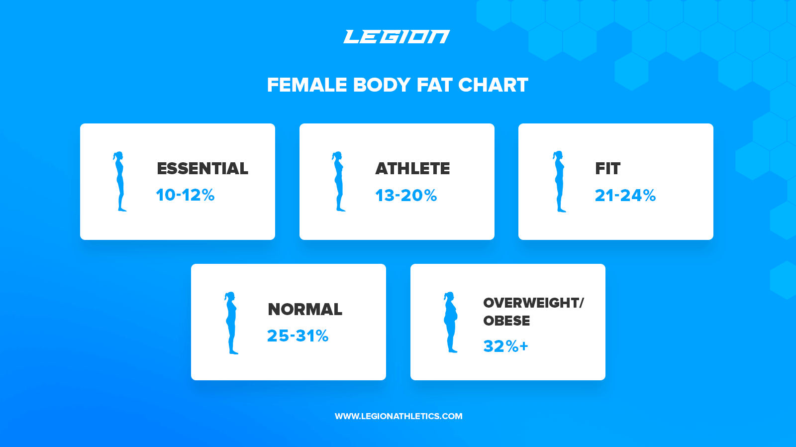 Body Composition Percentage Chart