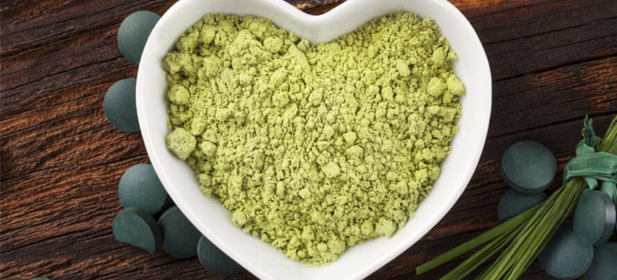 moringa oleifera powder.