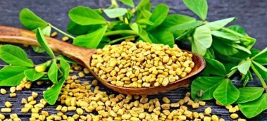 What Science Says About the Benefits of Fenugreek [2023]