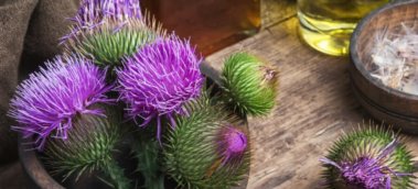 The Complete Guide to Milk Thistle Supplementation
