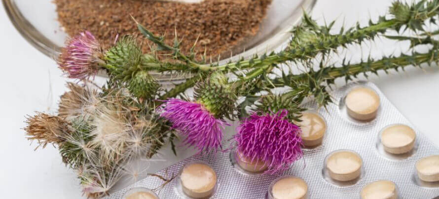 milk thistle supplements