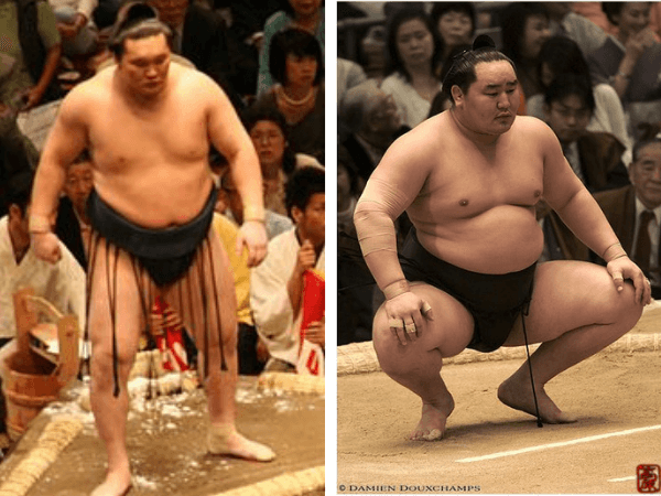 ffmi sumo wrestlers