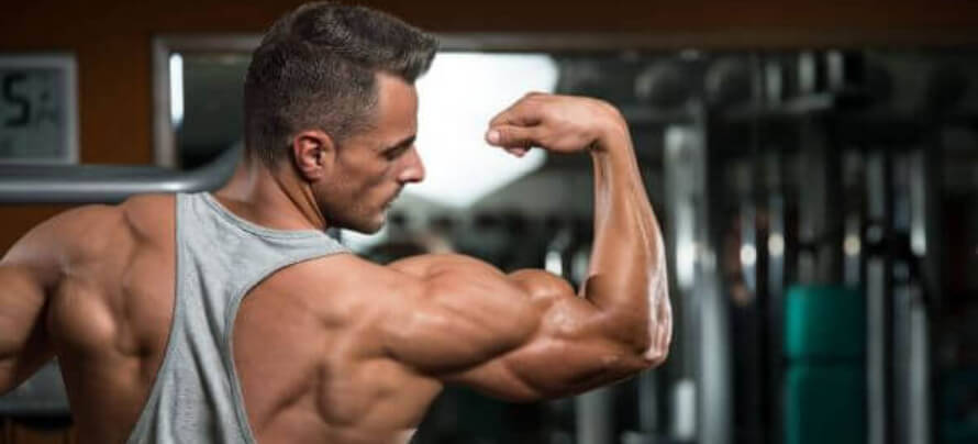 best shoulder exercises