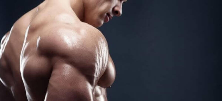 best shoulder workouts