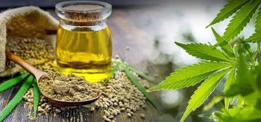 Why CBD Oil Is Basically a Scam