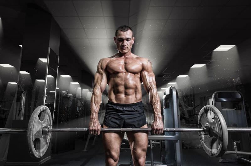 Best Compound Exercises For Fat Loss Online Degrees