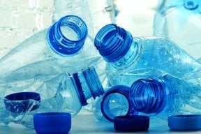 The Dangers of Bisphenol A and What to Do About It